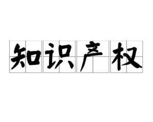 守护知识堡垒 漫谈知识产权的重要性
