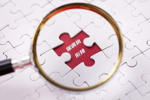 广东高院发布知识产权多元解纷典型案例，彰显保护合力